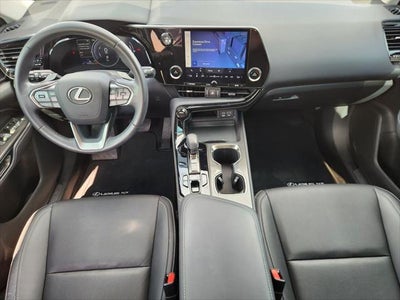 2023 Lexus NX 350h 350h Base
