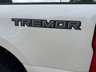 2024 Ford F-250SD Platinum