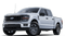 2025 Ford F-150 STX Fleet