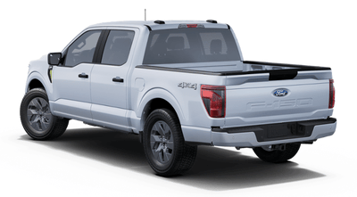 2025 Ford F-150 STX Fleet
