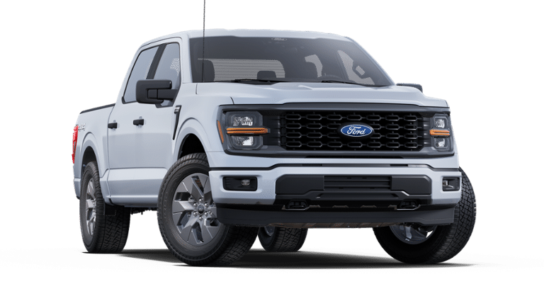 2025 Ford F-150 STX Fleet