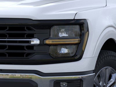 2026 Ford F-150 XLT Fleet