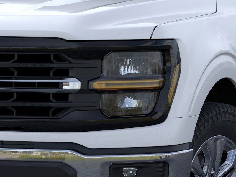 2026 Ford F-150 XLT Fleet