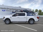 2026 Ford F-150 XLT Fleet