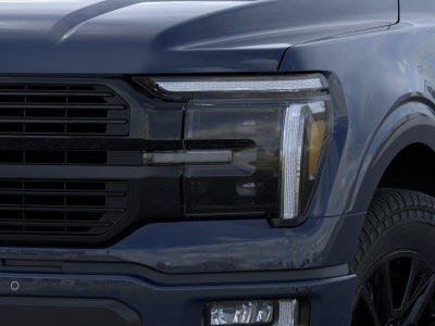 2026 Ford F-150 Platinum Fleet
