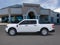 2026 Ford Maverick XL Fleet