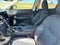 2023 Lexus NX 350h Luxury