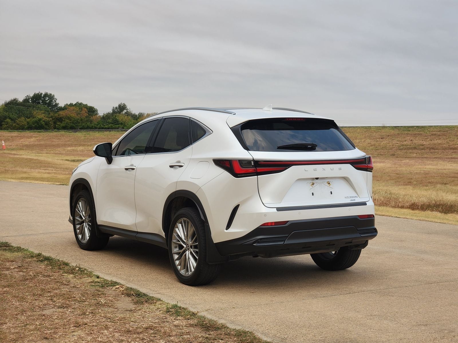 2023 Lexus NX 350h Luxury