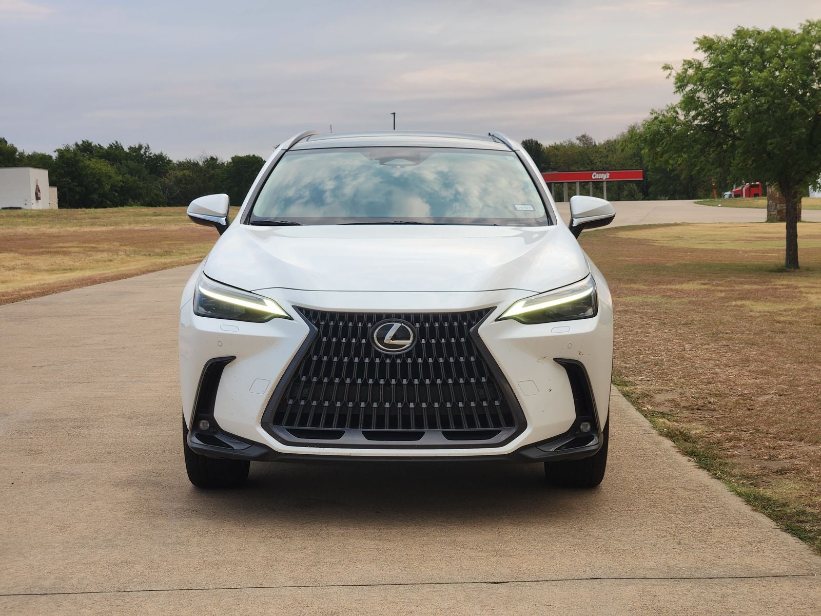 2023 Lexus NX 350h Luxury