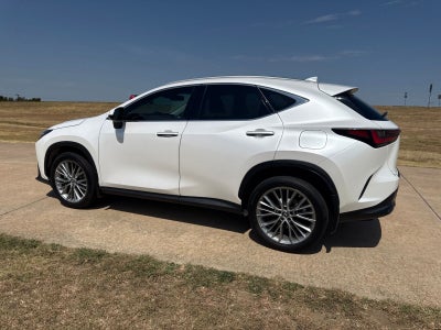 2023 Lexus NX 350h Luxury