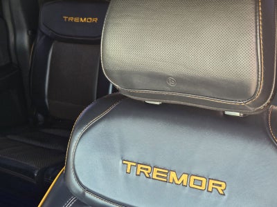 2021 Ford F-150 Tremor