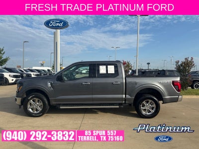 2025 Ford F-150 XLT